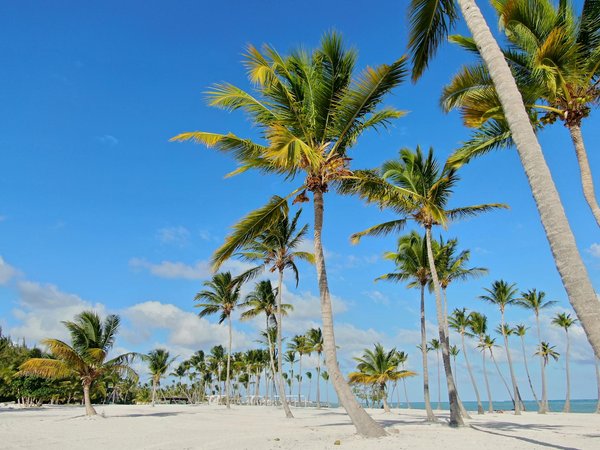 Discover wales' hidden treasures: the ultimate holiday rentals guide near national trust highlights